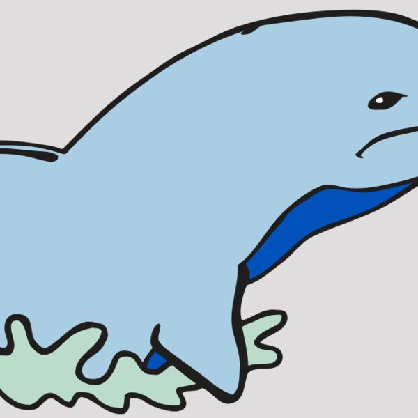 AR DOLPIN 14 RC Thumbnail