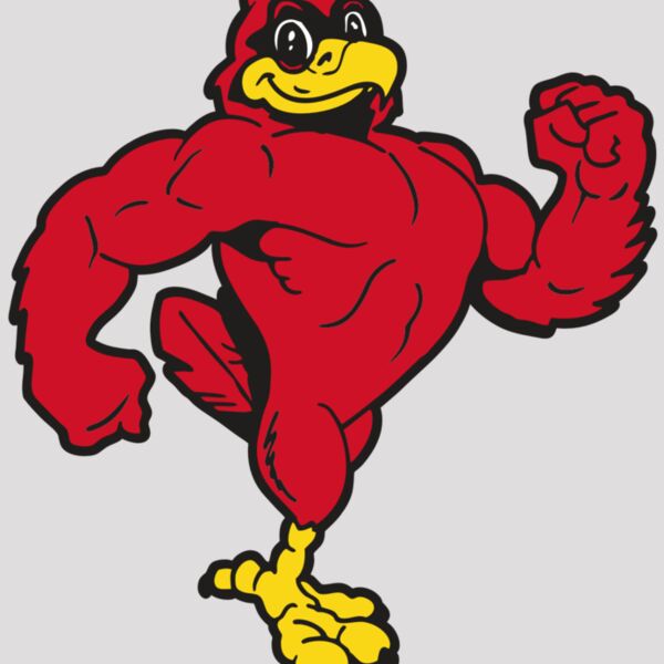 AR CARDINAL 41 RC Thumbnail