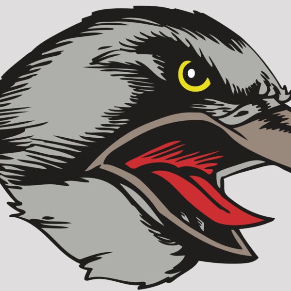 BAW HWK FLCN 13 RC Thumbnail