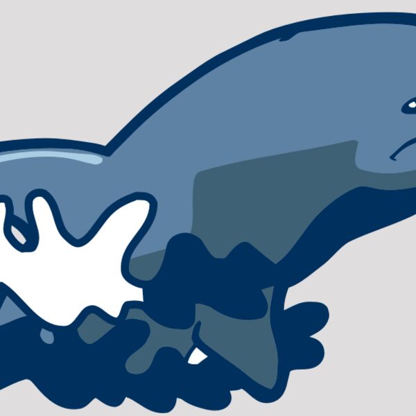 AR DOLPIN 10 RC Thumbnail