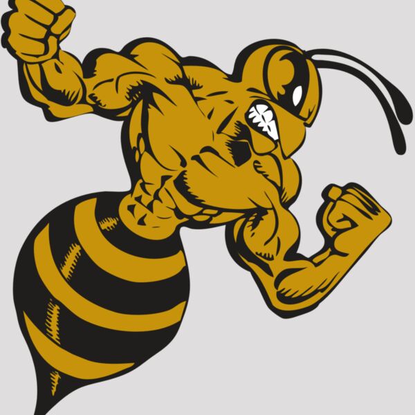 BAW BEE 01 RC Thumbnail