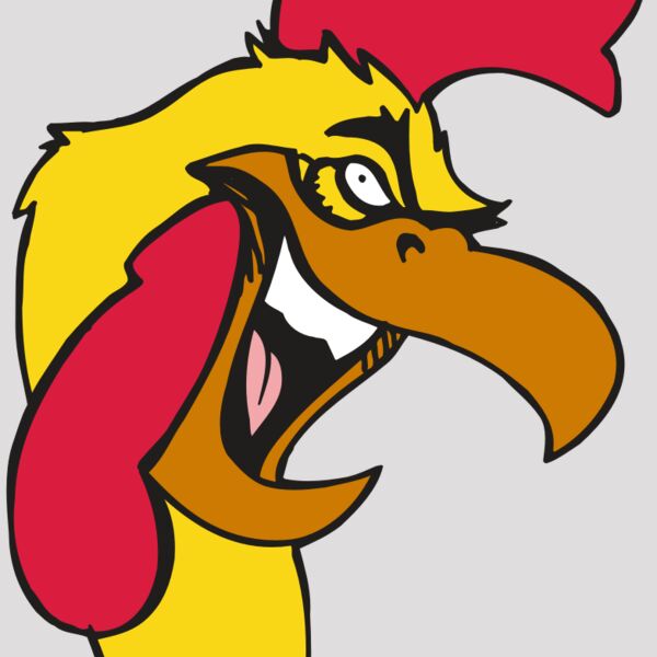 AR5 Gamecock 08 RQC Thumbnail