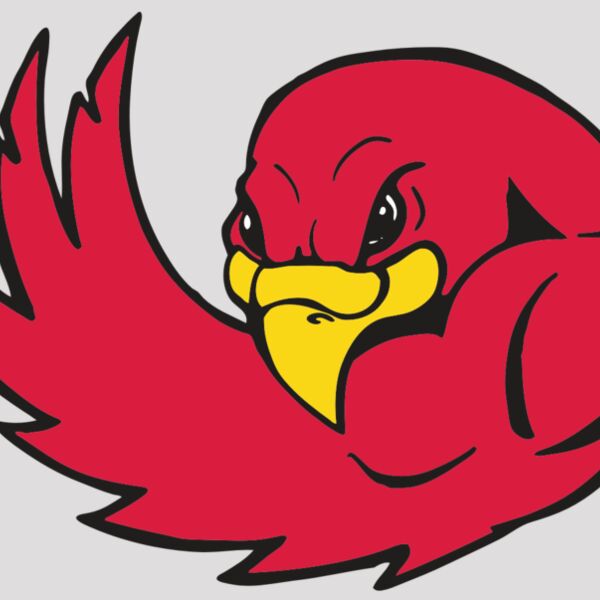 AR FALCON 18 RC Thumbnail