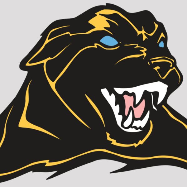 AR COUGAR 42 RC Thumbnail