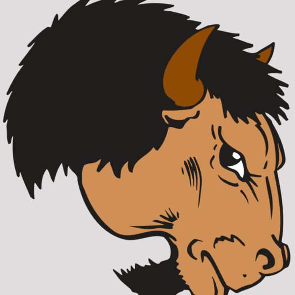 AR BUFFALO 16 RC Thumbnail