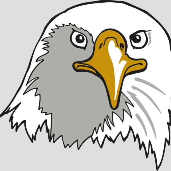 AR EAGLE 39 RC Thumbnail