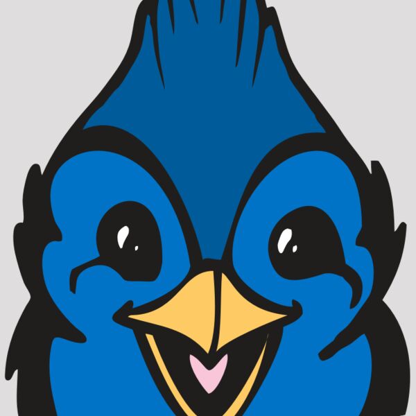 BAW BLUEJAY 19 RC Thumbnail