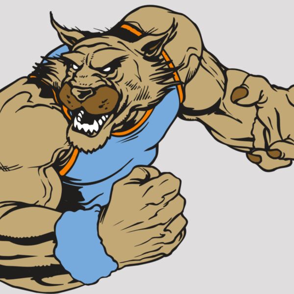 AR WILDCAT 46 RC Thumbnail