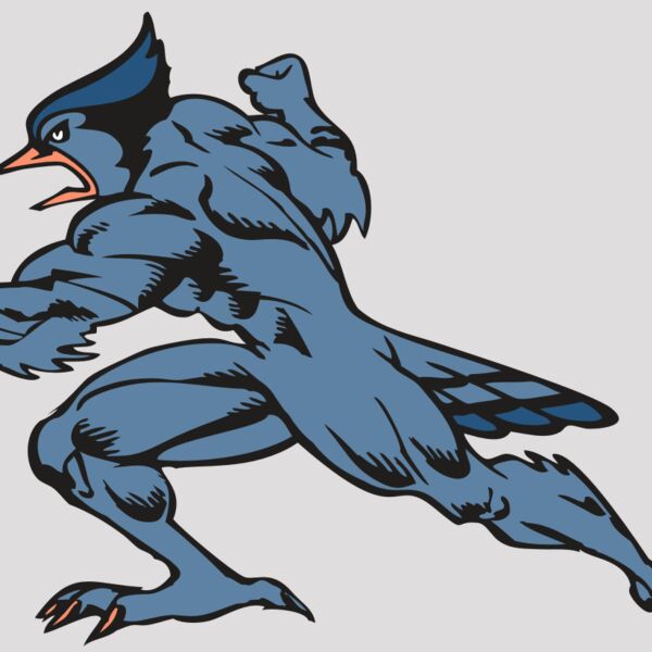 BAW BLUEJAY 15 RC Thumbnail