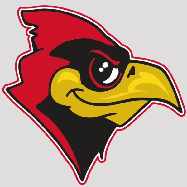 AR CARDINAL 38 RC Thumbnail