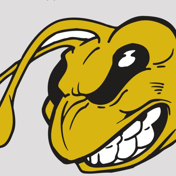 AR5 BEE 10 RQC Thumbnail