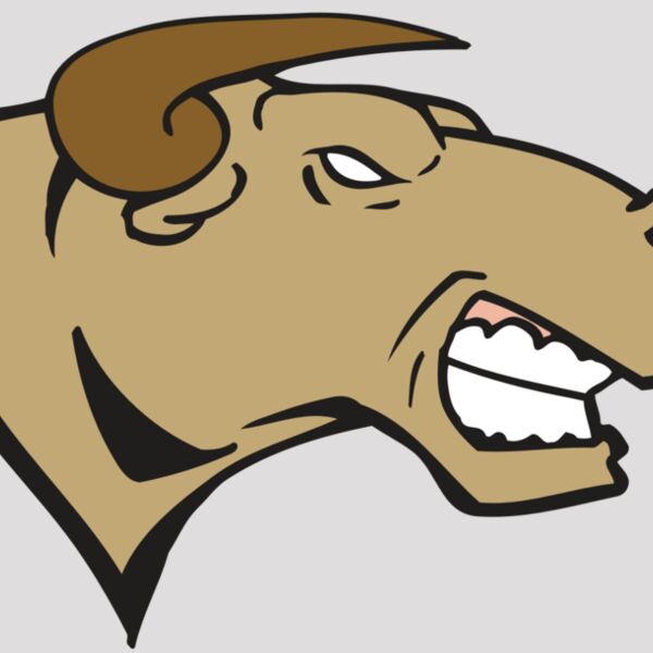 AR BULL 30 RC Thumbnail