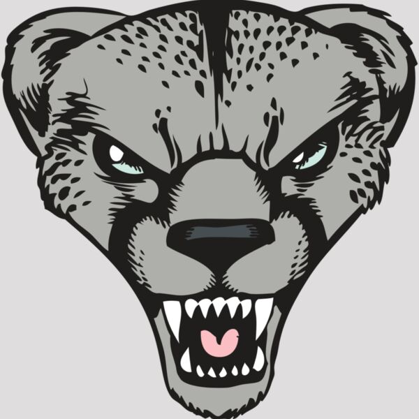 BAW CHEETAH 15 RC Thumbnail