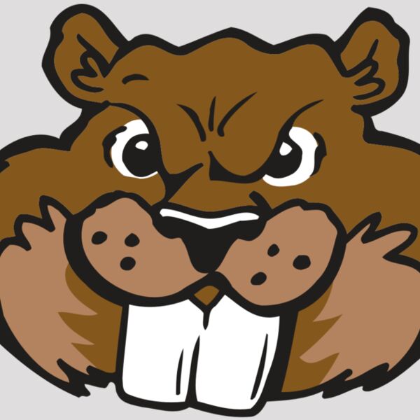 AR BEAVER 10 RC Thumbnail