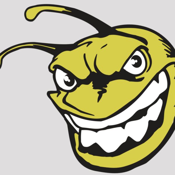 AR5 BEE 08 RQC Thumbnail