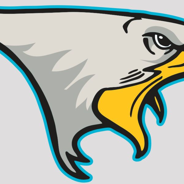 AR14 EAGLE FBALL 01 RQC Thumbnail