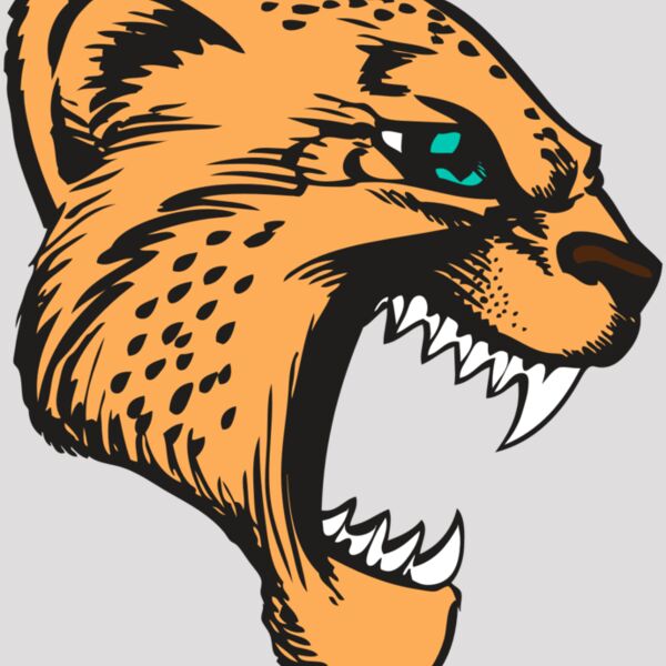 BAW CHEETAH 11 RC Thumbnail