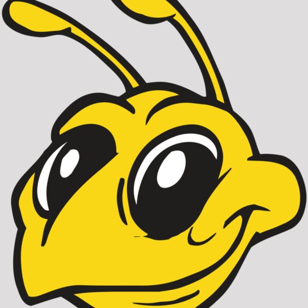 AR BEE 28 RC Thumbnail