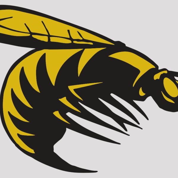 AR BEE 49 RC Thumbnail