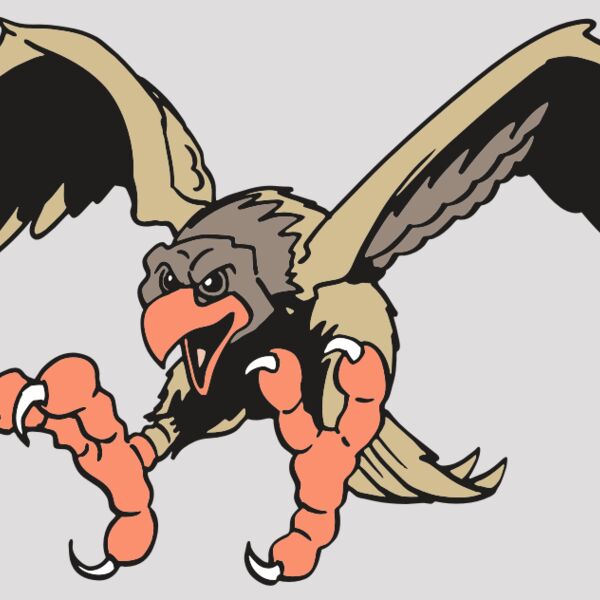 AR EAGLE 15 RC Thumbnail