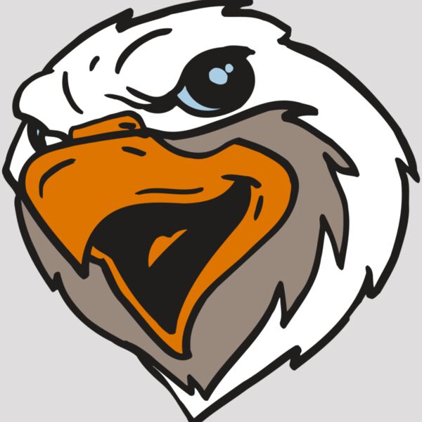 AR5 Eagle 20 RQC Thumbnail