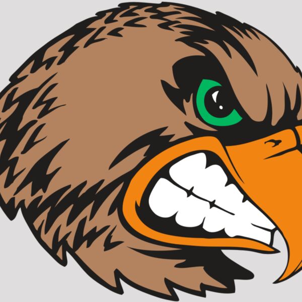 BAW HWK FLCN 09 RC Thumbnail