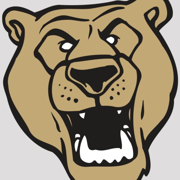 AR BEAR 13 RC Thumbnail