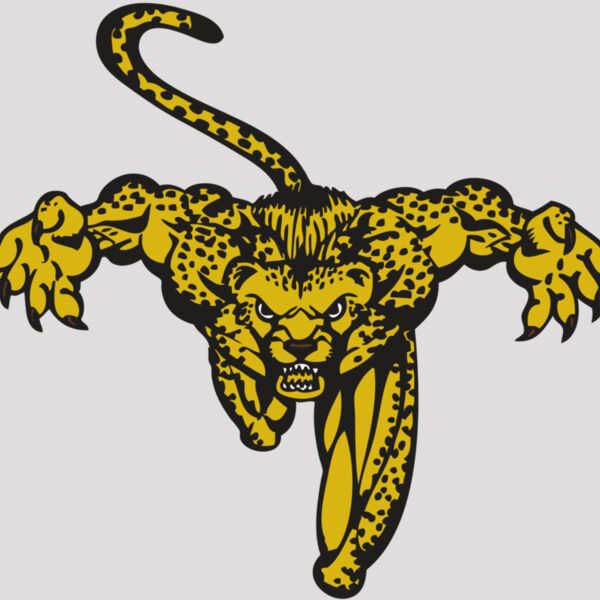 BAW CHEETAH 08 RC Thumbnail