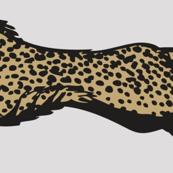 BAW CHEETAH 01 RC Thumbnail