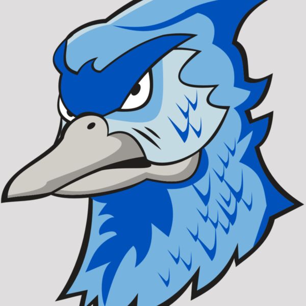 BLUEJAY HD0501 RQC Thumbnail