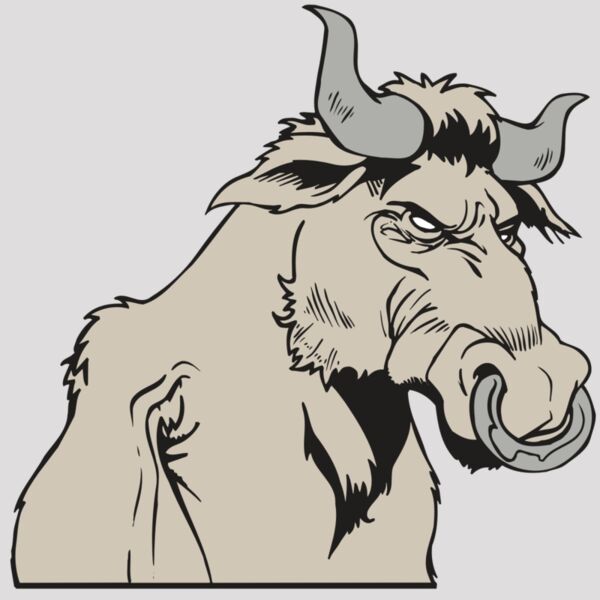 AR5 BULL 08 RQC Thumbnail