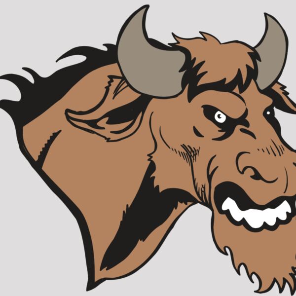 AR5 BULL 09 RQC Thumbnail