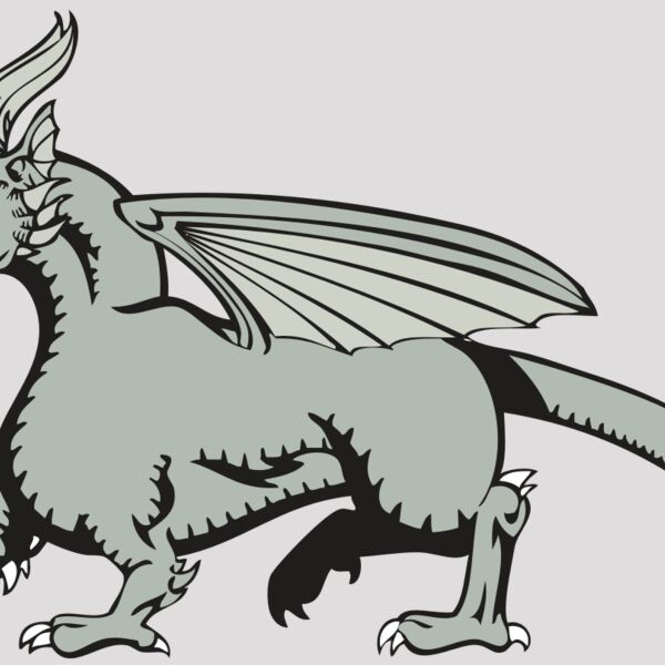 BAW DRAGON 20 RC Thumbnail