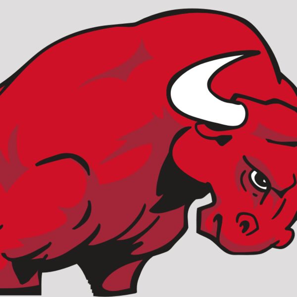 AR BULL 12 RC Thumbnail