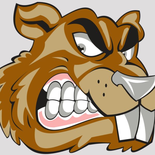 BEAVER HD0503 RQC Thumbnail