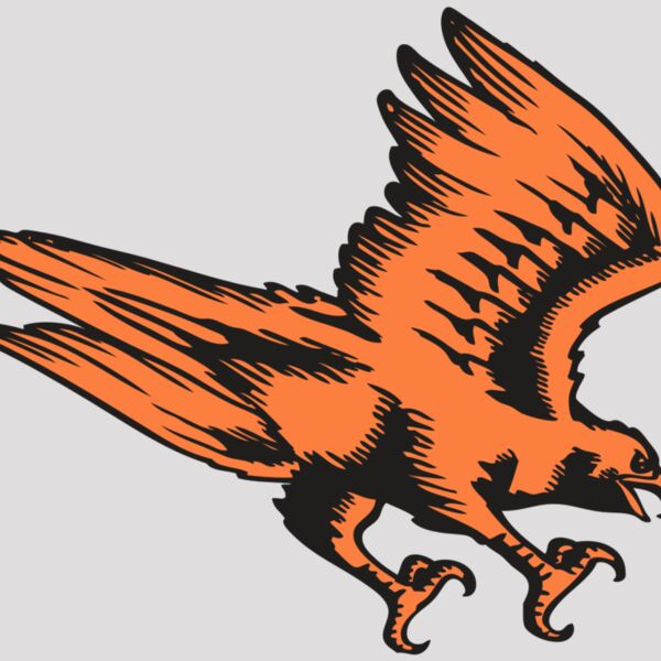 BAW HWK FLCN 04 RC Thumbnail