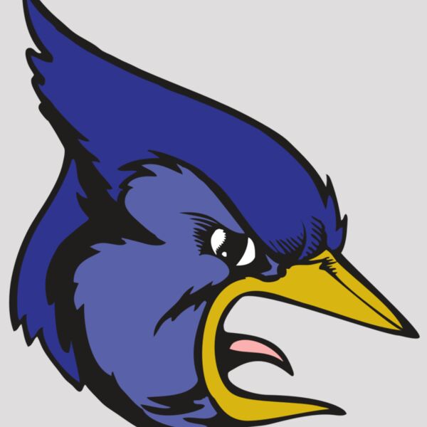 BAW BLUEJAY 04 RC Thumbnail