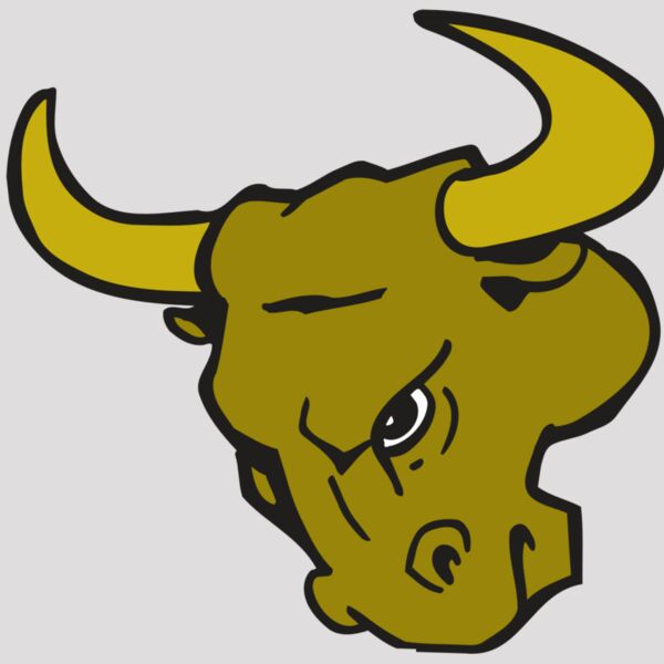 AR BULL 26 RC Thumbnail