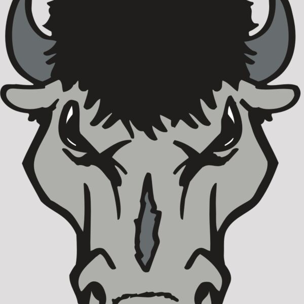 AR BUFFALO 15 RC Thumbnail