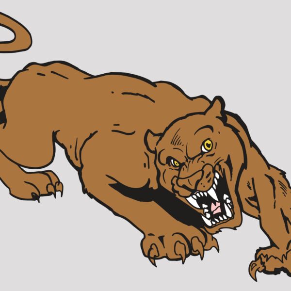 AR5 COUGAR 41 RQC Thumbnail