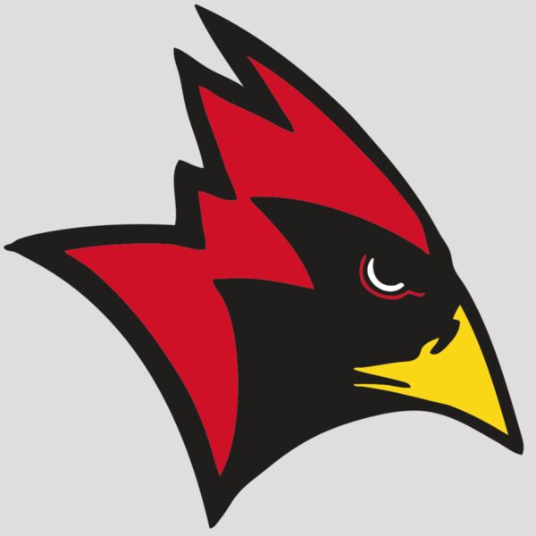 AR CARDINAL 23 RC Thumbnail