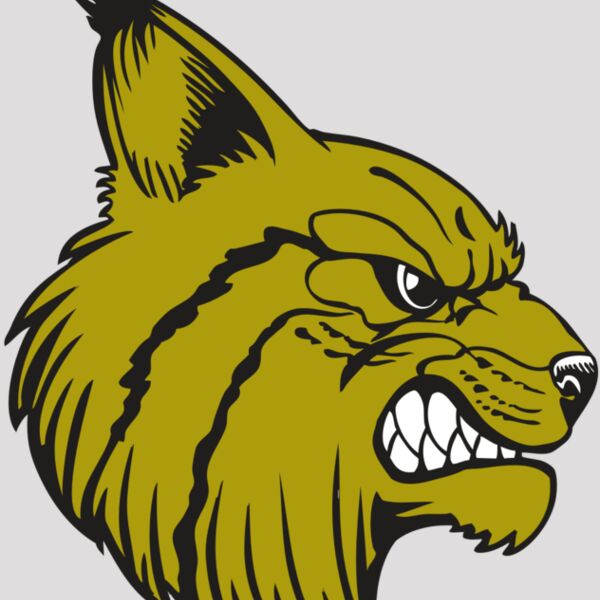 BAW BOBCAT 16 RC Thumbnail