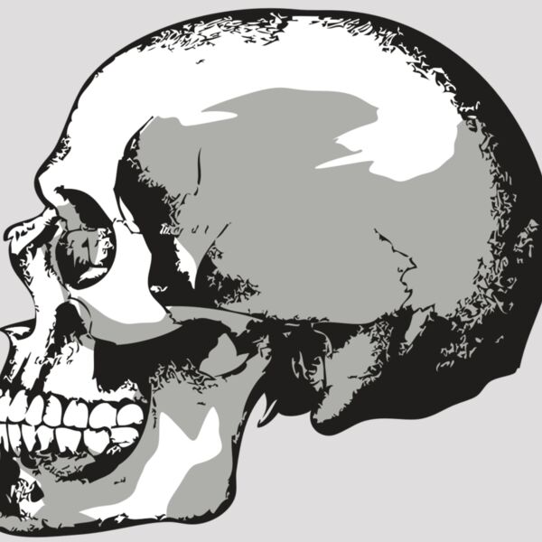 AR24 SKULL 02 RQC Thumbnail