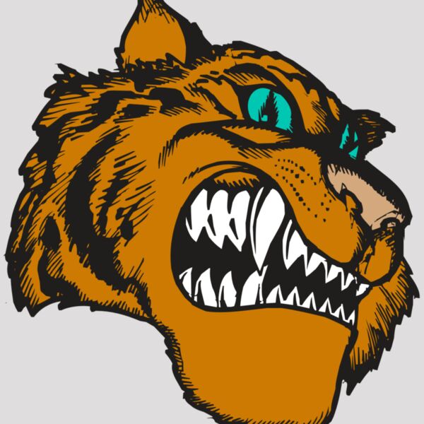 BAW TIGER 11 RC Thumbnail