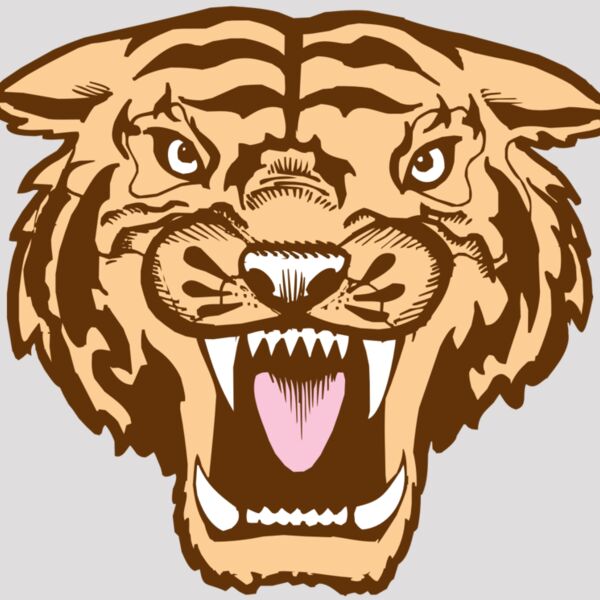 BAW TIGER 05 RC Thumbnail