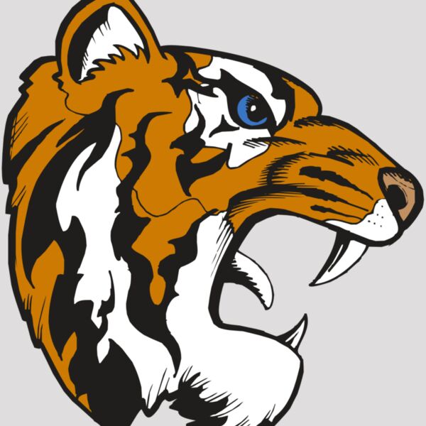 BAW TIGER 08 RC Thumbnail