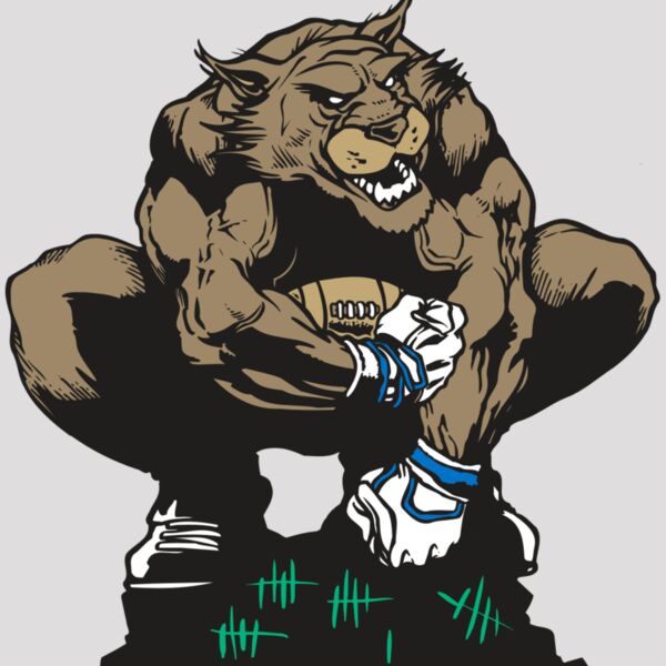 AR WILDCAT 34 RC Thumbnail