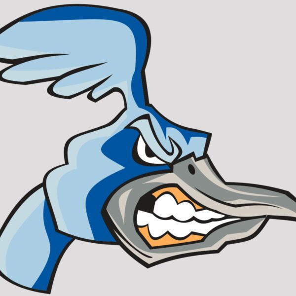 ROADRUNNER HD0503 RQC Thumbnail