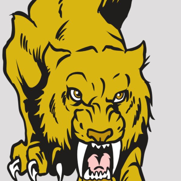 AR30 SABER 08 RQC Thumbnail