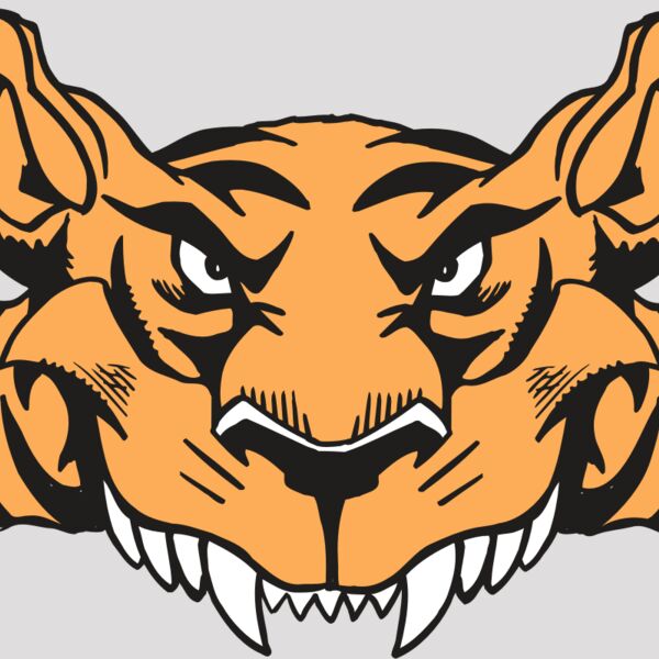 AR5 Tiger 07 RQC Thumbnail